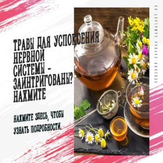 Травы для успокоения нервной системы - Заинтригованы? Нажмите